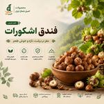 فروشگاه اينترنتي آكزين كالا
