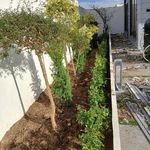 خدمات باغبانی هرسکاری گلکاری متخصص خاک