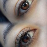 اکستنشن مژه و لیفت مژه و ابرو روشا