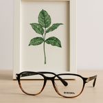 هایدا شعبه دو