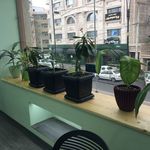 فست فود اژدر زاپاتا گلسار