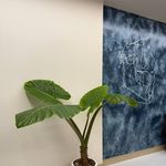 کلینیک دندانپزشکی دکتر سعید تقوی