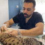 کلینیک دامپزشکی حیوانات خانگی خانه پت