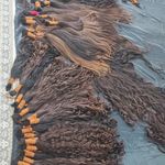 خریداری مو نصیری