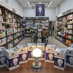 الکتریکی برقکاران