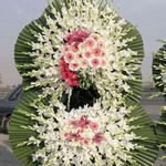 گل فروشی دنیز (آنلاین) -ارسال فوری