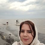 محصولات خانگی و گیاهان دارویی