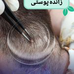 کلینیک زیبایی رایکا