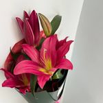 گلفروشی فاطماگل