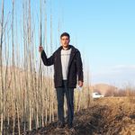 نهالستان پناهی