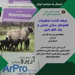 نانوفناوران گیتی دام