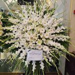 گل فروشی آندیا (شعبه یک)