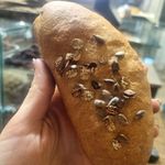 نان فانتزی گندم