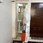 شرکت سمپاشی منزل ماداکتو سرویس در تهران