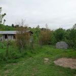 ویلا جنگلی بابلکنار