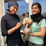 کلینیک دامپزشکی تخصصی نیک پلاس