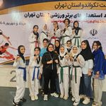 آکادمی تکواندو آتاج