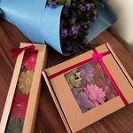 گالری شمع لونا