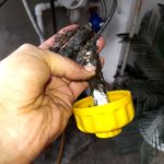 تعمیرات تخصصی پکیج و آبگرمکن عابدی
