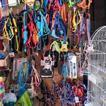 پت شاپ چیکو پرند