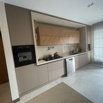 زرین کابین