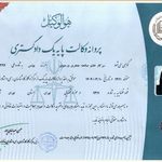 وکیل تخصصی دعاوی ملکی