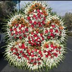 گل فروشی دنیز آنلاین (شعبه 2)