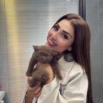 کیلینیک دامپزشکی و آرایشگاه حیوانات کارو