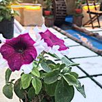 سنتی سرای جیران