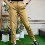 تولید و پخش پوشاک تیلور