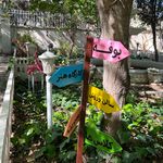 آکادمی شیدایی