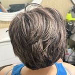 خدمات تخصصی مو گیلاوا