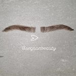 پروتز ابرو سگرن بیوتی