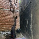 مربی یوگا ولی زاده