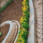 خدمات باغبانی هرس کاری گلکاری سمپاشی