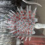 فروشگاه گل کریستال فاطمة الزهرا