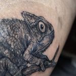 تتو بدن مشهد