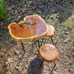 تولیدی تجهیزات فروشگاهی آدین شاپ