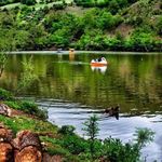 تور گردشگری