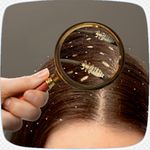 خدمات تخصصی درمان شپش فریده قاسمی