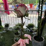 مدرسه مهدیه