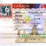 آژانس خدمات مسافرتی گل خندان گشت