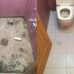 خدمات ساختمانی سلیمانی