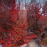 روستای جاغرق