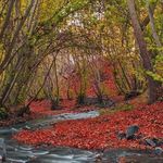 روستای جاغرق