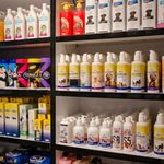 پت شاپ آژین