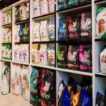 پت شاپ آژین