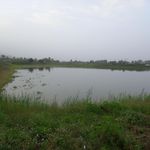 استخر تخته پوری (سید آباد)