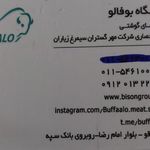 گوشت و مرغ بوفالو
