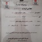 محمدرضا نیک جو
